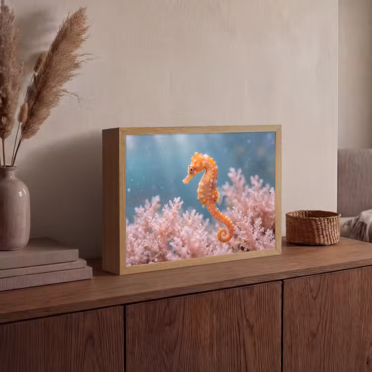 Lightbox - Wandlamp - Vis - Koraal - Oceaan - Macro - Oranje — 4
