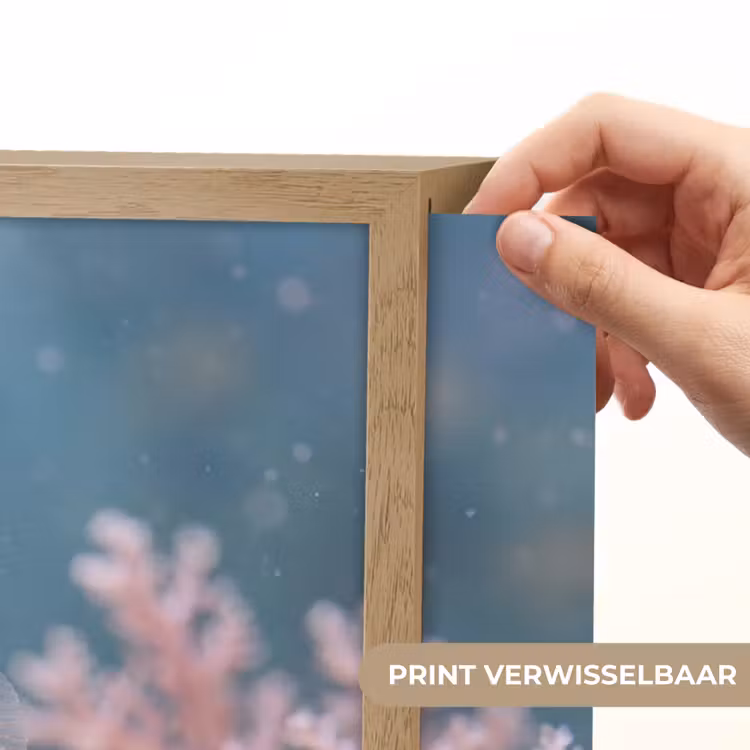 Lightbox - Wandlamp - Vis - Koraal - Oceaan - Macro - Oranje — 5
