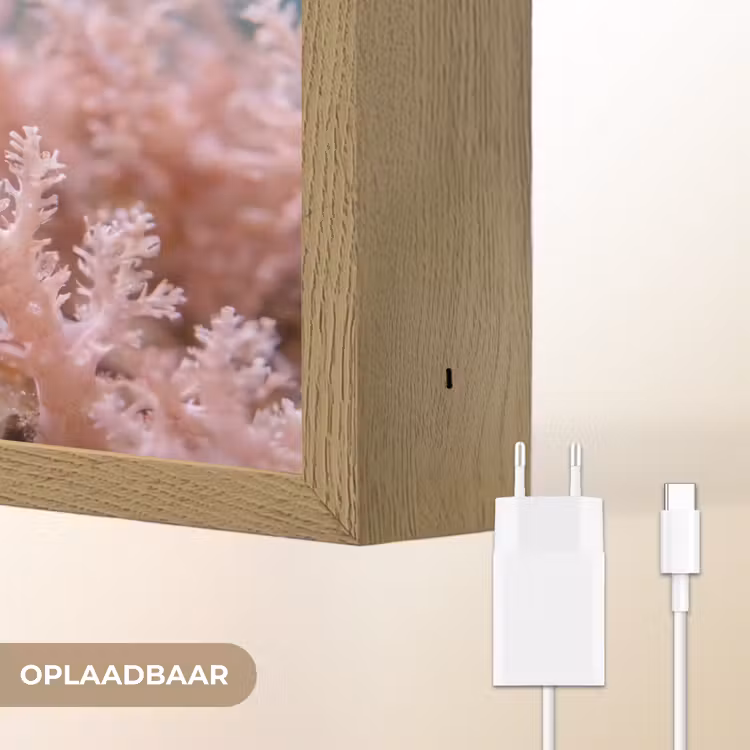 Lightbox - Wandlamp - Vis - Koraal - Oceaan - Macro - Oranje — 7