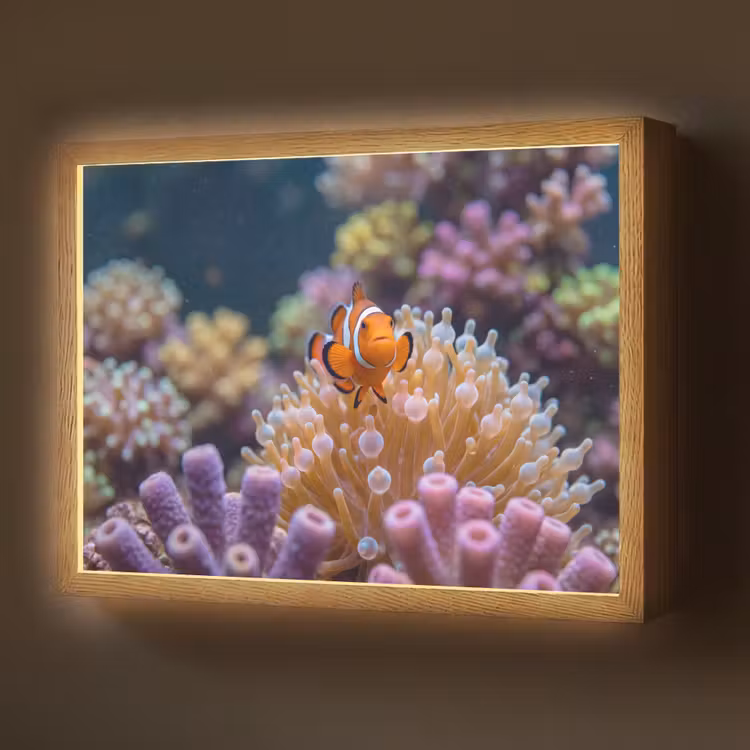 Lightbox - Wandlamp - Vis - Koraal - Onderwater - Oranje - Dieren — 1