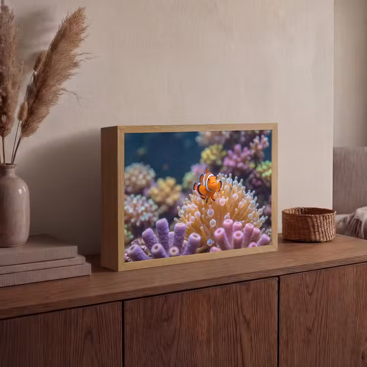 Lightbox - Wandlamp - Vis - Koraal - Onderwater - Oranje - Dieren — 4