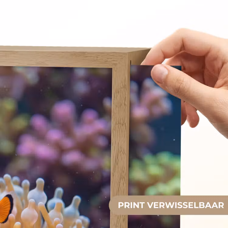Lightbox - Wandlamp - Vis - Koraal - Onderwater - Oranje - Dieren — 5