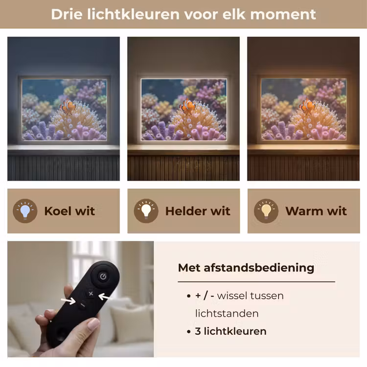Lightbox - Wandlamp - Vis - Koraal - Onderwater - Oranje - Dieren — 8