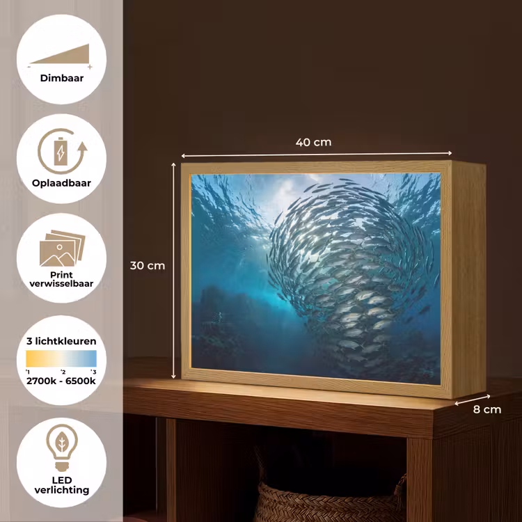 Lightbox - Wandlamp - Vis - School - Oceaan - Natuur - Blauw — 10