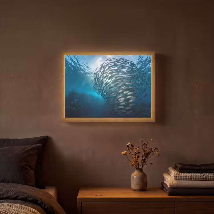 Lightbox - Wandlamp - Vis - School - Oceaan - Natuur - Blauw — 3