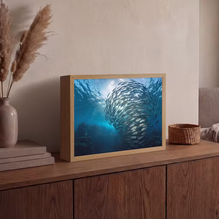 Lightbox - Wandlamp - Vis - School - Oceaan - Natuur - Blauw — 4