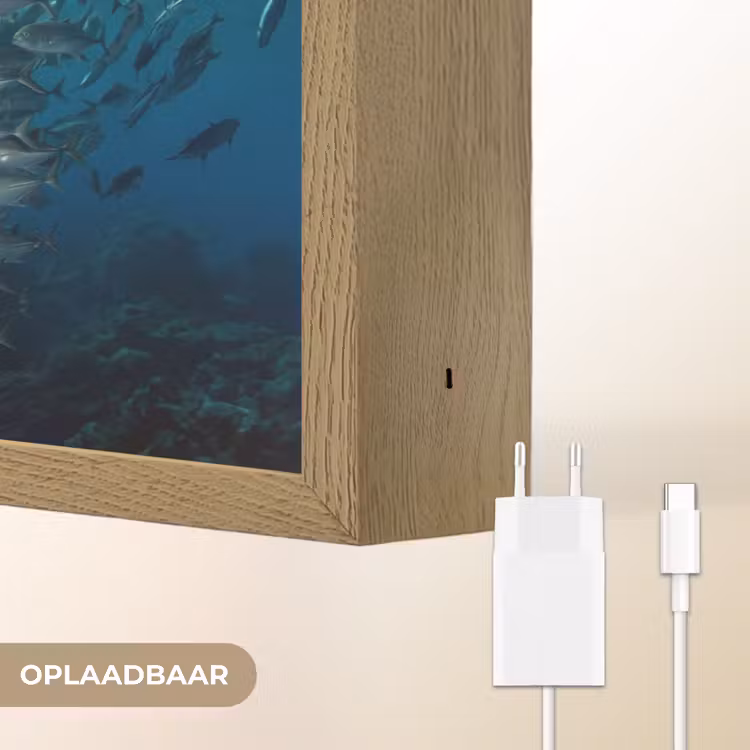 Lightbox - Wandlamp - Vis - School - Oceaan - Natuur - Blauw — 7