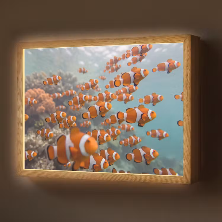 Lightbox - Wandlamp - Vis - School - Onderwater - Dieren - Oranje — 1