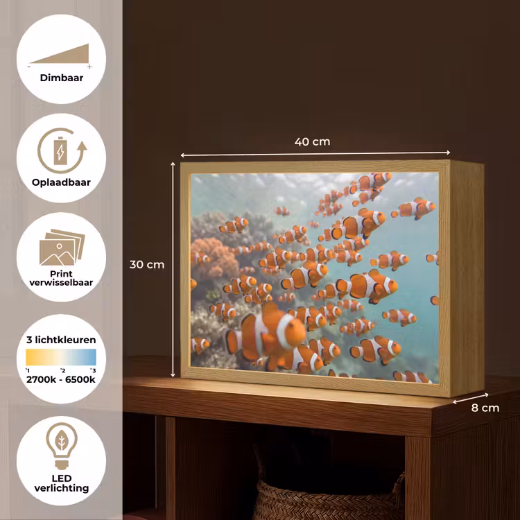 Lightbox - Wandlamp - Vis - School - Onderwater - Dieren - Oranje — 10