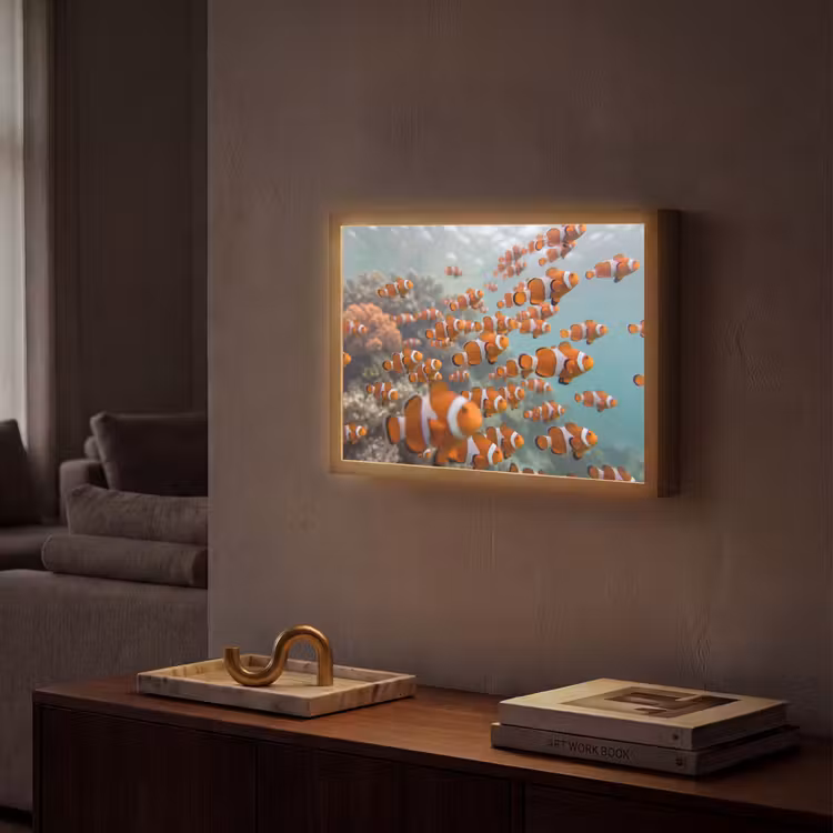 Lightbox - Wandlamp - Vis - School - Onderwater - Dieren - Oranje — 2