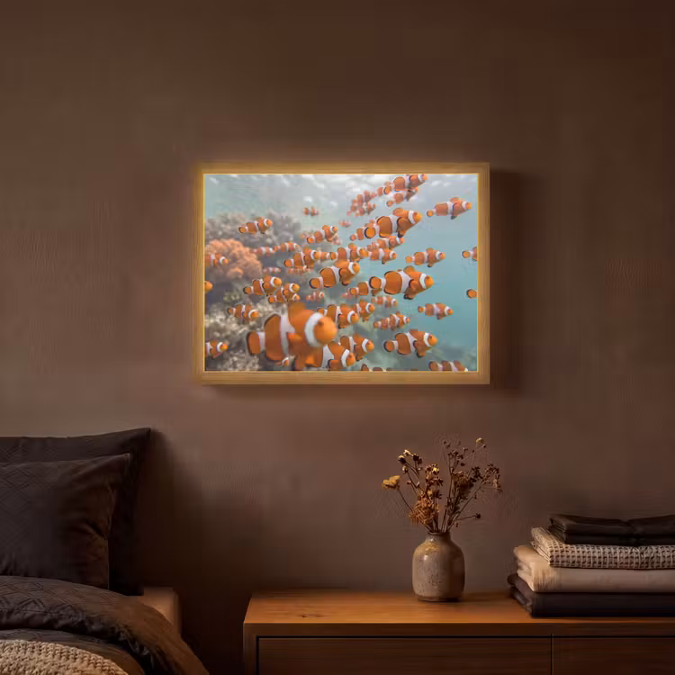 Lightbox - Wandlamp - Vis - School - Onderwater - Dieren - Oranje — 3