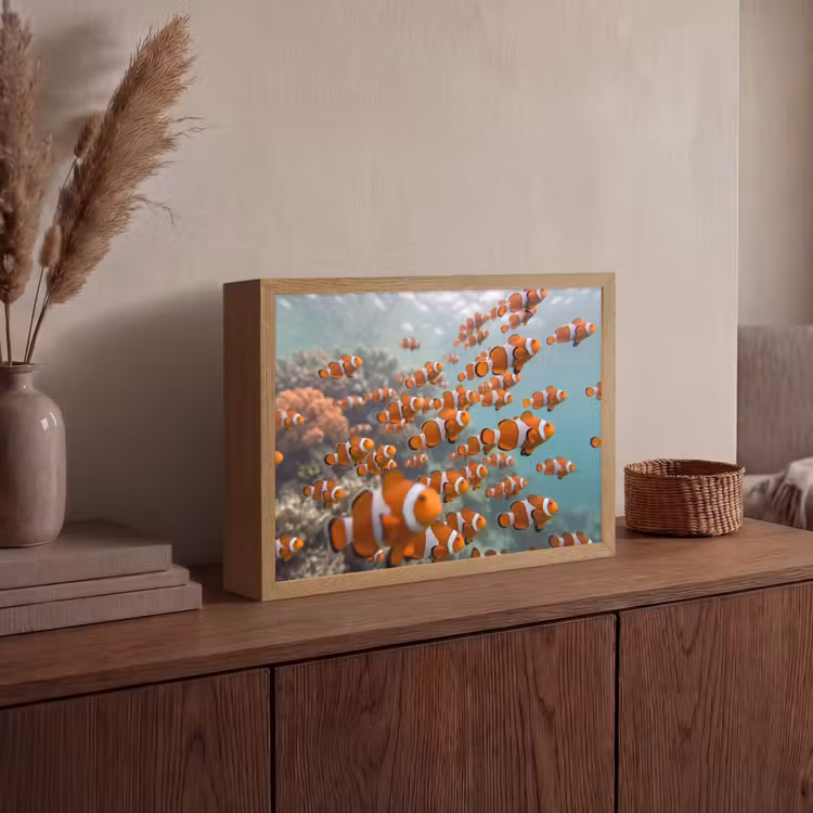 Lightbox - Wandlamp - Vis - School - Onderwater - Dieren - Oranje — 4