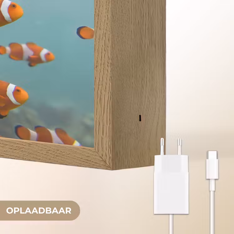 Lightbox - Wandlamp - Vis - School - Onderwater - Dieren - Oranje — 7