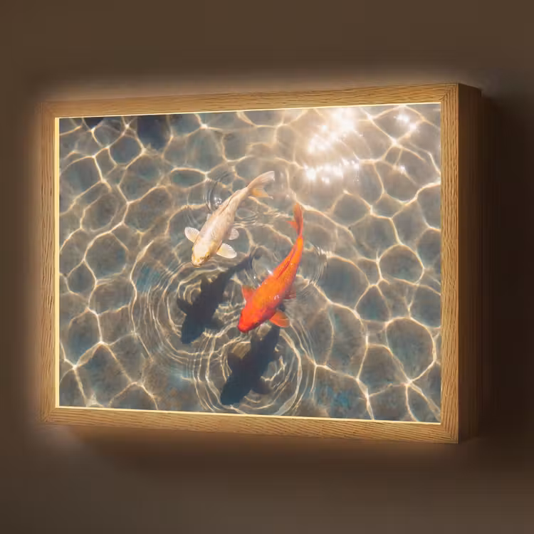 Lightbox - Wandlamp - Vis - Water - Dieren - Oranje - Goud — 1
