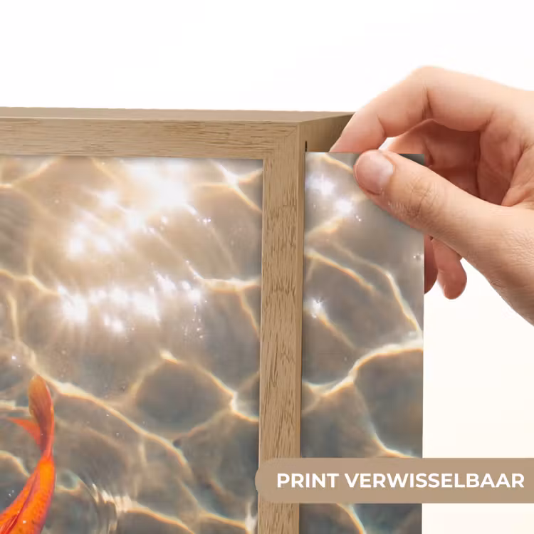 Lightbox - Wandlamp - Vis - Water - Dieren - Oranje - Goud — 5