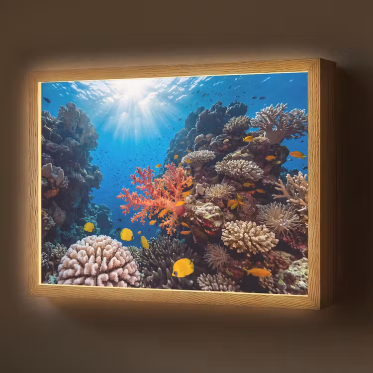 Lightbox - Wandlamp - Zee - Koraalrif - Natuur - Levendig - Blauw — 1