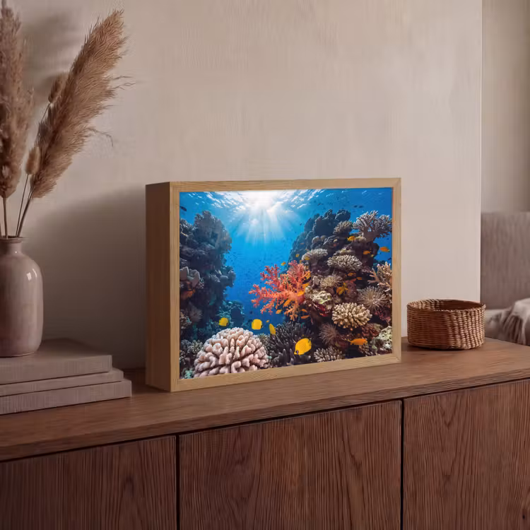 Lightbox - Wandlamp - Zee - Koraalrif - Natuur - Levendig - Blauw — 4