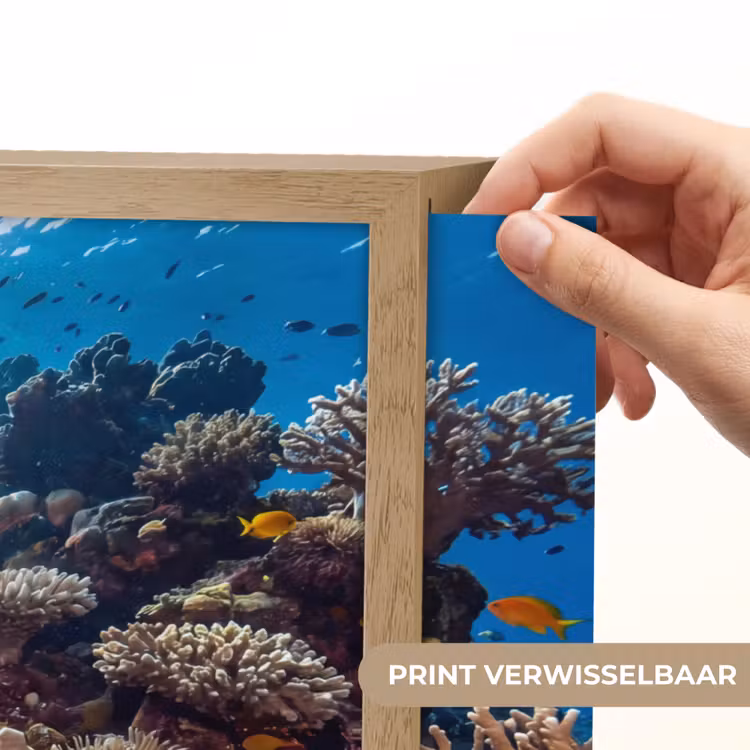 Lightbox - Wandlamp - Zee - Koraalrif - Natuur - Levendig - Blauw — 5