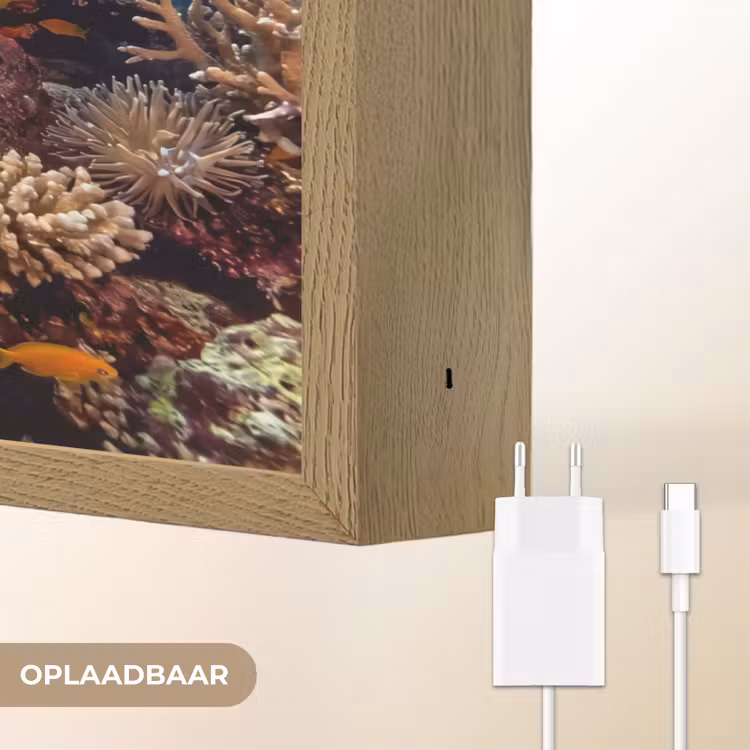 Lightbox - Wandlamp - Zee - Koraalrif - Natuur - Levendig - Blauw — 7