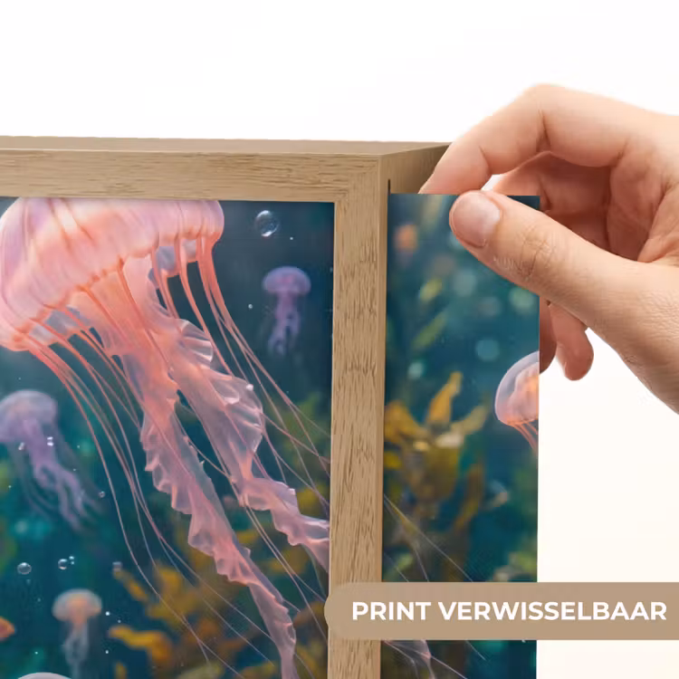 Lightbox - Wandlamp - Kwal - Roze - Onderwater - Zeeleven - Dieren — 5