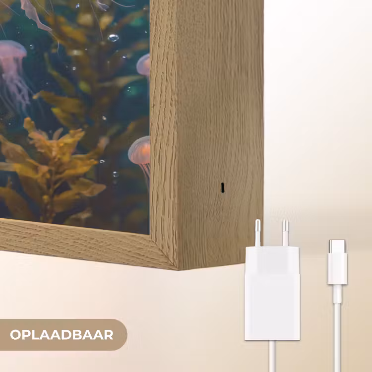 Lightbox - Wandlamp - Kwal - Roze - Onderwater - Zeeleven - Dieren — 7
