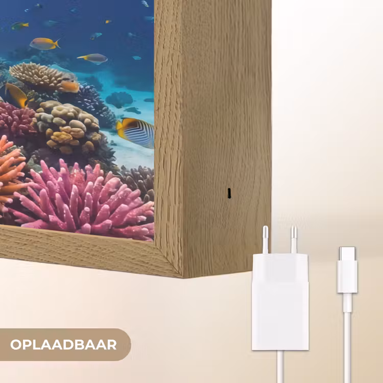 Lightbox - Wandlamp - Schildpad - Koraalrif - Oceaan - Dieren - Blauw — 7