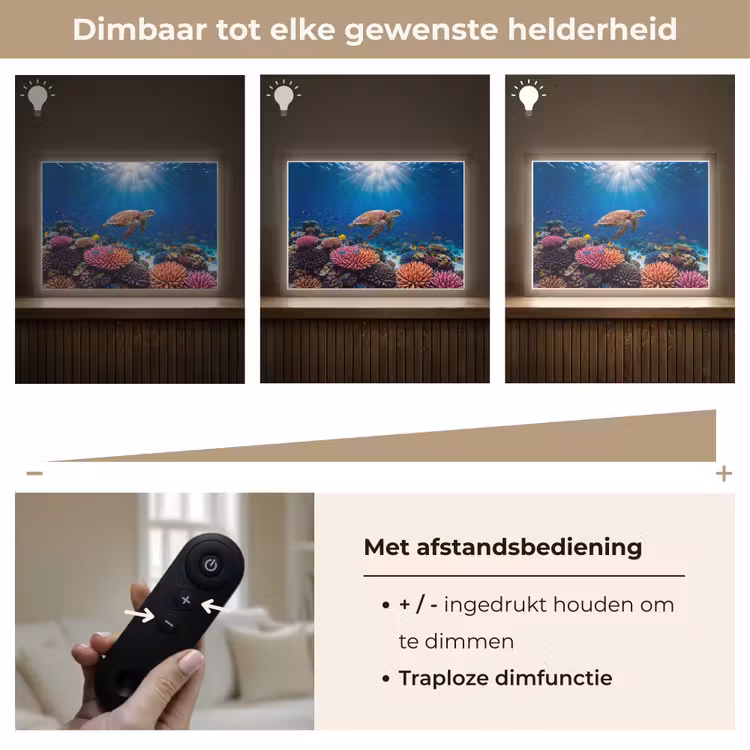 Lightbox - Wandlamp - Schildpad - Koraalrif - Oceaan - Dieren - Blauw — 9