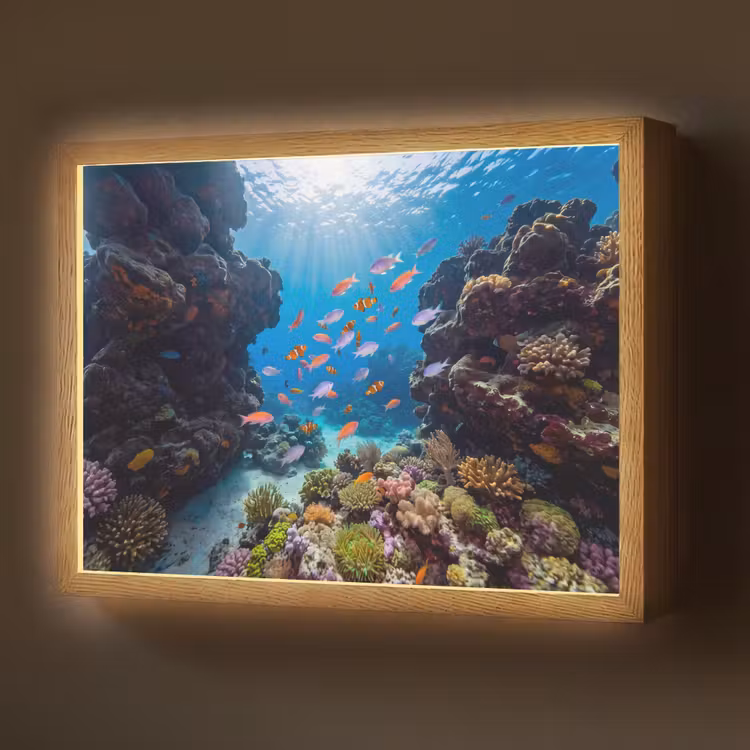 Lightbox - Wandlamp - Vis - Koraalrif - Onderwater - Levendig - Blauw — 1