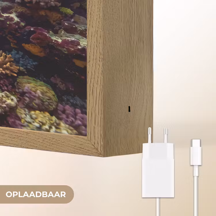 Lightbox - Wandlamp - Vis - Koraalrif - Onderwater - Levendig - Blauw — 7