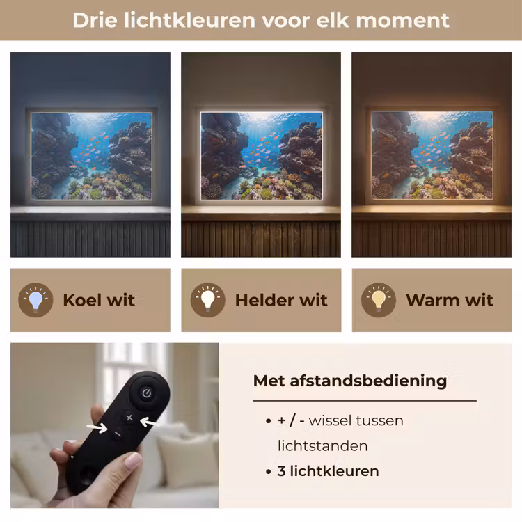 Lightbox - Wandlamp - Vis - Koraalrif - Onderwater - Levendig - Blauw — 8