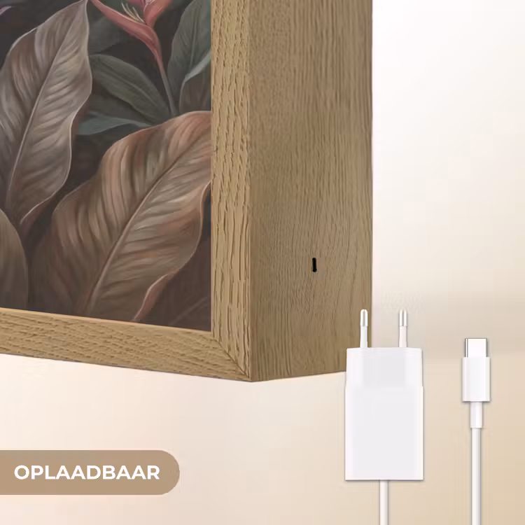 Lightbox - Wandlamp - Planten - Tropisch - Jungle - Donker - Natuur — 7