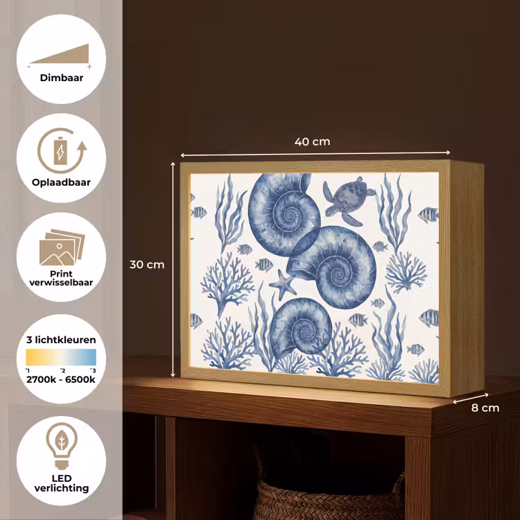 Lightbox - Wandlamp - Schelp - Spiraal - Zeeleven - Aquarel - Blauw — 10