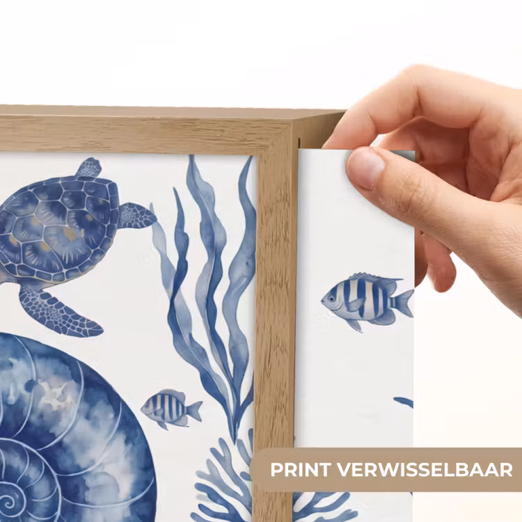 Lightbox - Wandlamp - Schelp - Spiraal - Zeeleven - Aquarel - Blauw — 5
