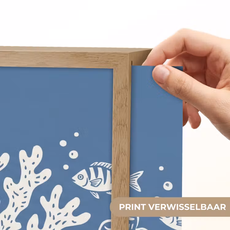 Lightbox - Wandlamp - Zeeleven - Koraal - Schelp - Vis - Illustratie - Onderwater — 5