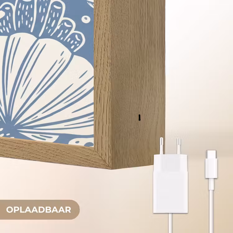 Lightbox - Wandlamp - Zeeleven - Koraal - Schelp - Vis - Illustratie - Onderwater — 7