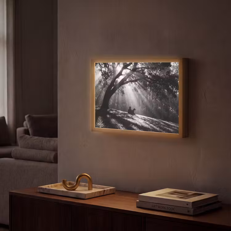 Lightbox - Wandlamp - Mens - Hond - Natuur - Zwart-wit - Silhouet — 2