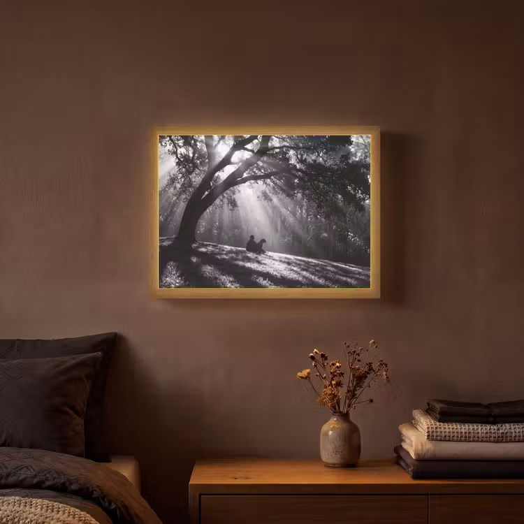 Lightbox - Wandlamp - Mens - Hond - Natuur - Zwart-wit - Silhouet — 3