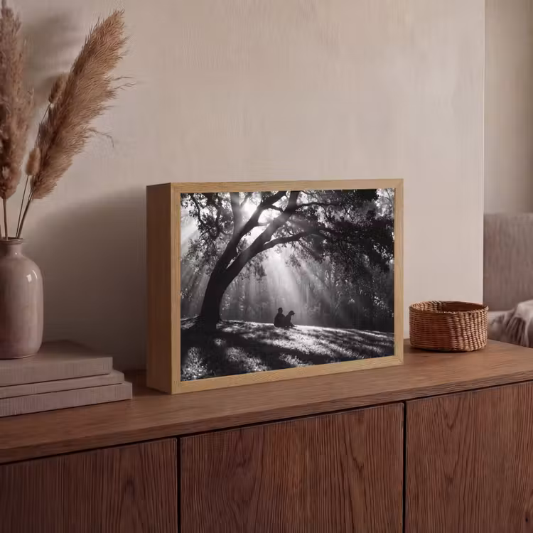 Lightbox - Wandlamp - Mens - Hond - Natuur - Zwart-wit - Silhouet — 4