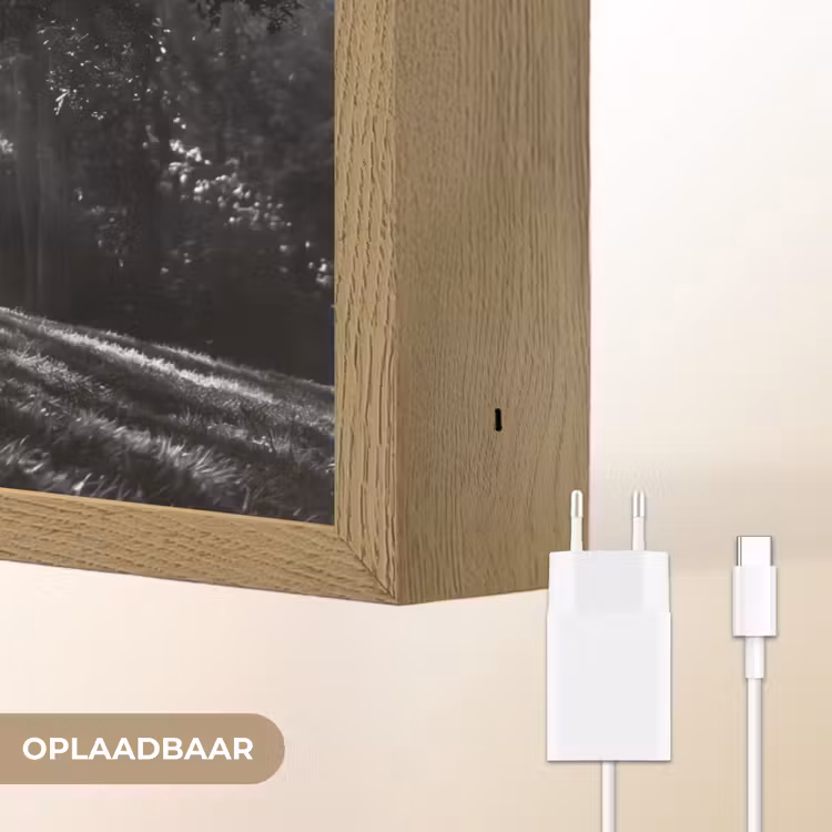Lightbox - Wandlamp - Mens - Hond - Natuur - Zwart-wit - Silhouet — 7
