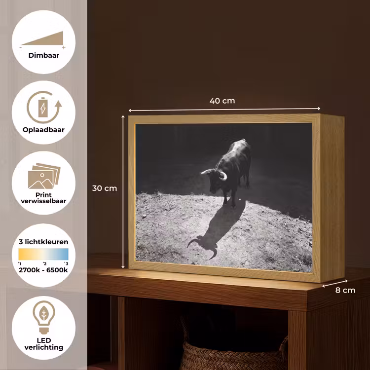 Lightbox - Wandlamp - Stier - Schaduw - Dieren - Contrast - Zwart-wit — 10