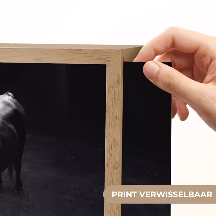 Lightbox - Wandlamp - Stier - Schaduw - Dieren - Contrast - Zwart-wit — 5