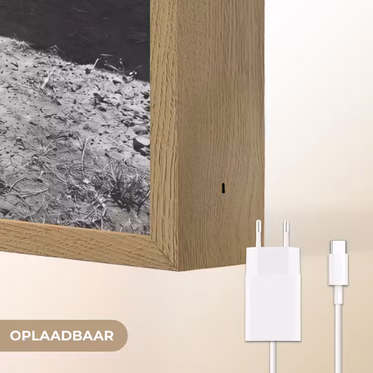 Lightbox - Wandlamp - Stier - Schaduw - Dieren - Contrast - Zwart-wit — 7