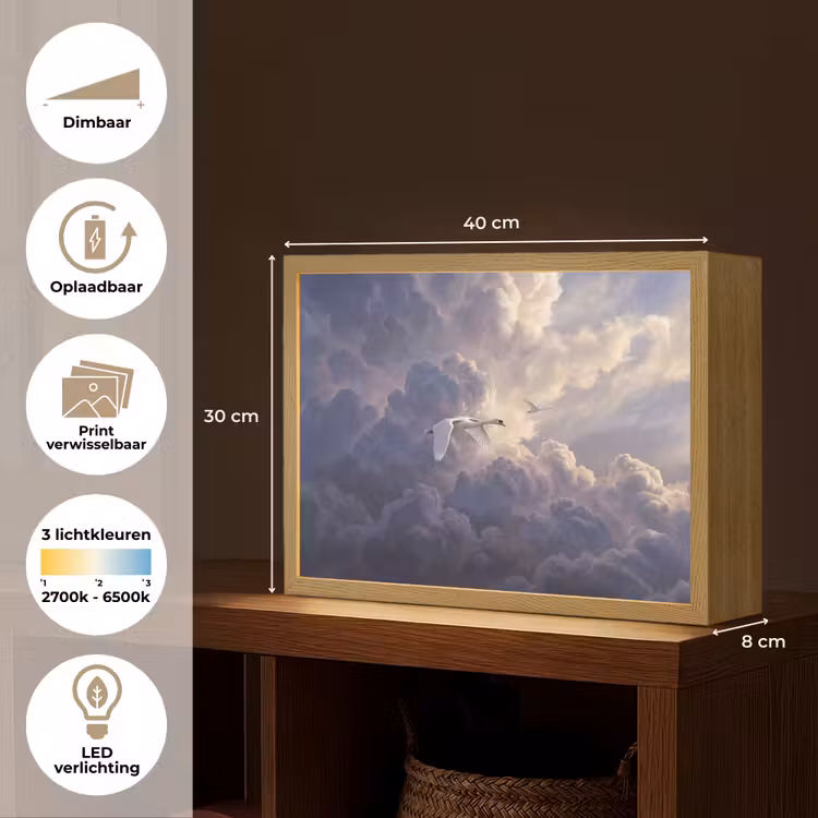 Lightbox - Wandlamp - Vogel - Vliegend - Natuur - Wit - Wolken — 10