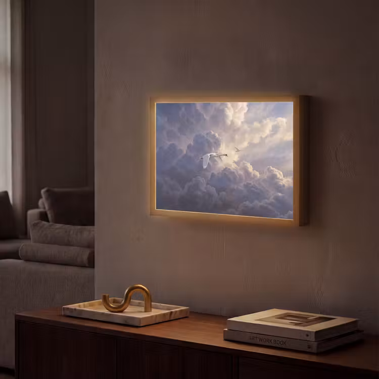 Lightbox - Wandlamp - Vogel - Vliegend - Natuur - Wit - Wolken — 2