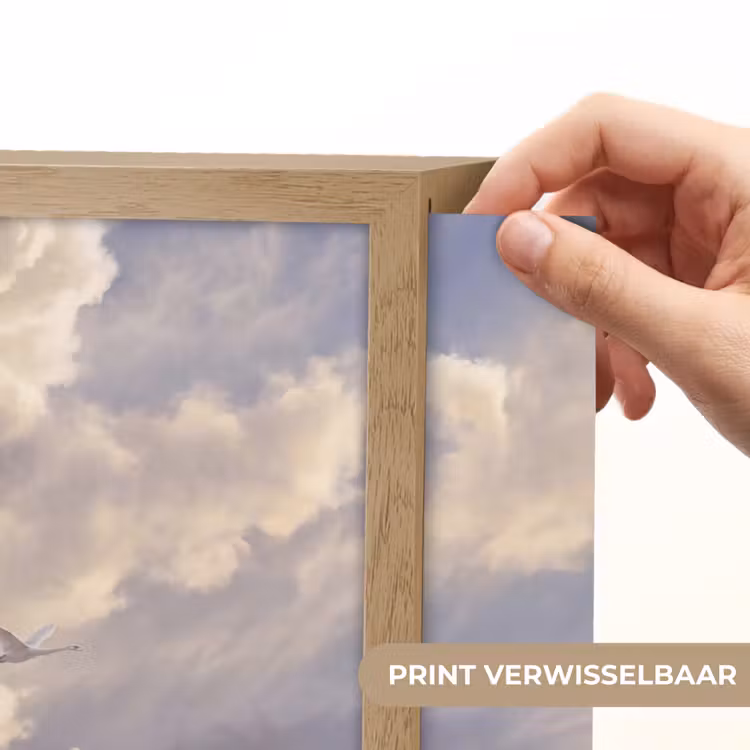 Lightbox - Wandlamp - Vogel - Vliegend - Natuur - Wit - Wolken — 5