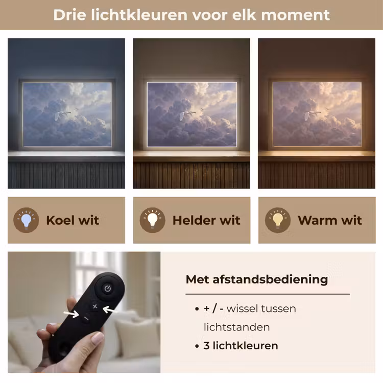 Lightbox - Wandlamp - Vogel - Vliegend - Natuur - Wit - Wolken — 8