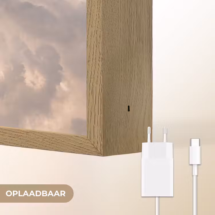 Lightbox - Wandlamp - Vogel - Vlucht - Wolken - Natuur - Blauw — 7