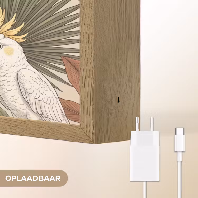 Lightbox - Wandlamp - Tropisch - Vogels - Beige — 7