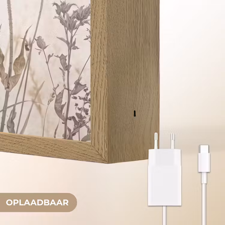 Lightbox - Wandlamp - Weidebloemen - Design - Sepia — 7