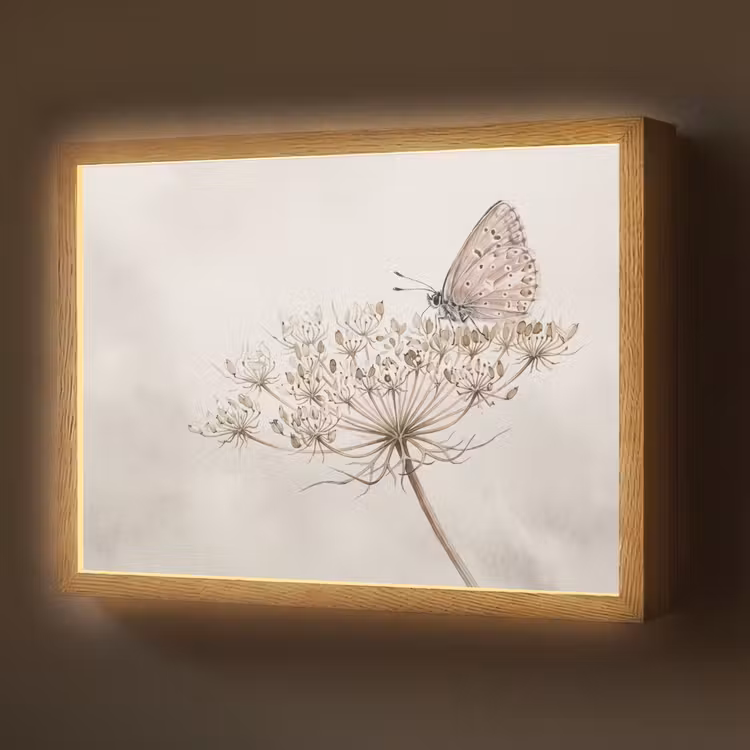 Lightbox - Wandlamp - Vlinder - Bloem -Natuur - Beige — 1